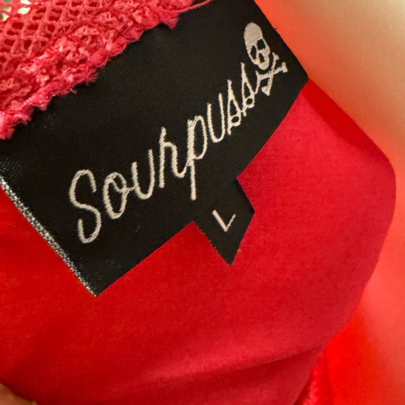 Sourpuss fuchsia lace sleeveless fashion dress with bow detailing with netting - Picture 2 of 13